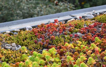 the cost of Downs green roof installation